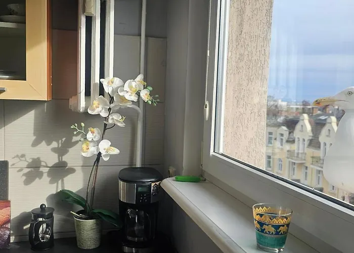 Stylish In Lower Part Of Sopot! Apartment Zoppot